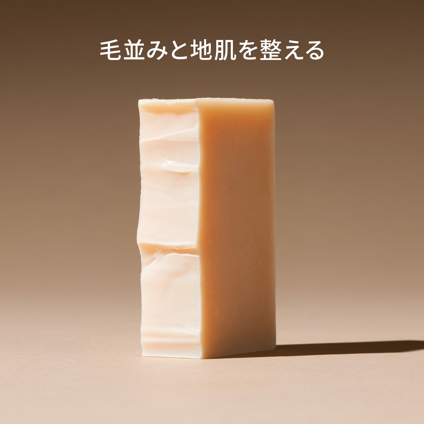 ドッグ(長毛)