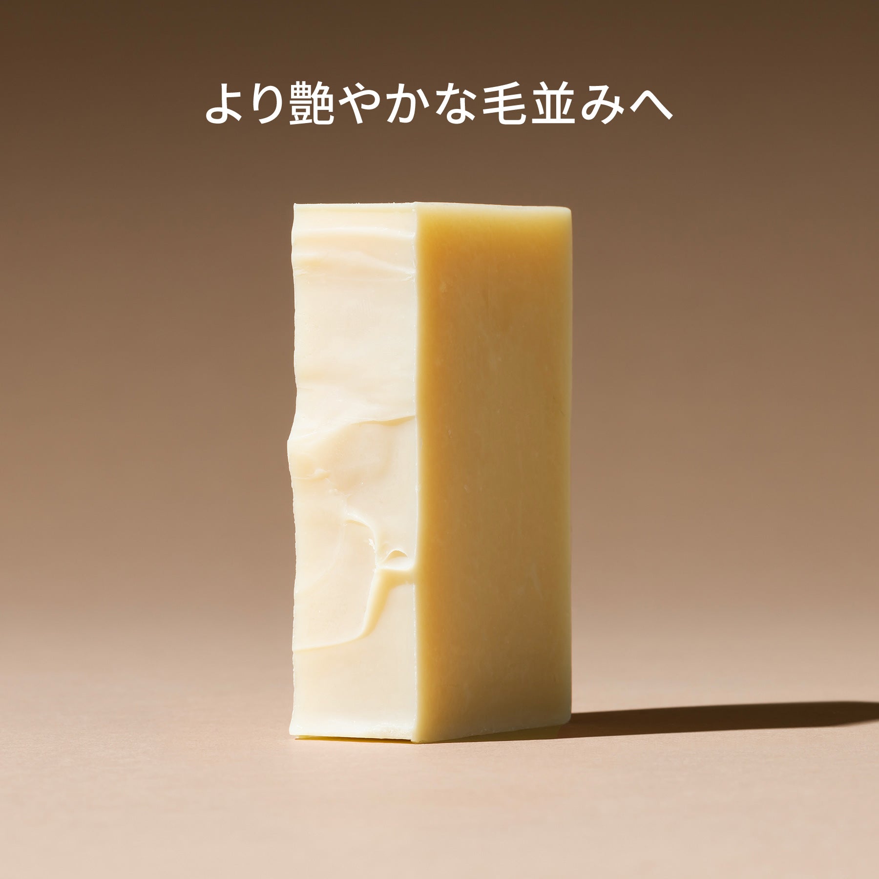 dog (conditioner bar)