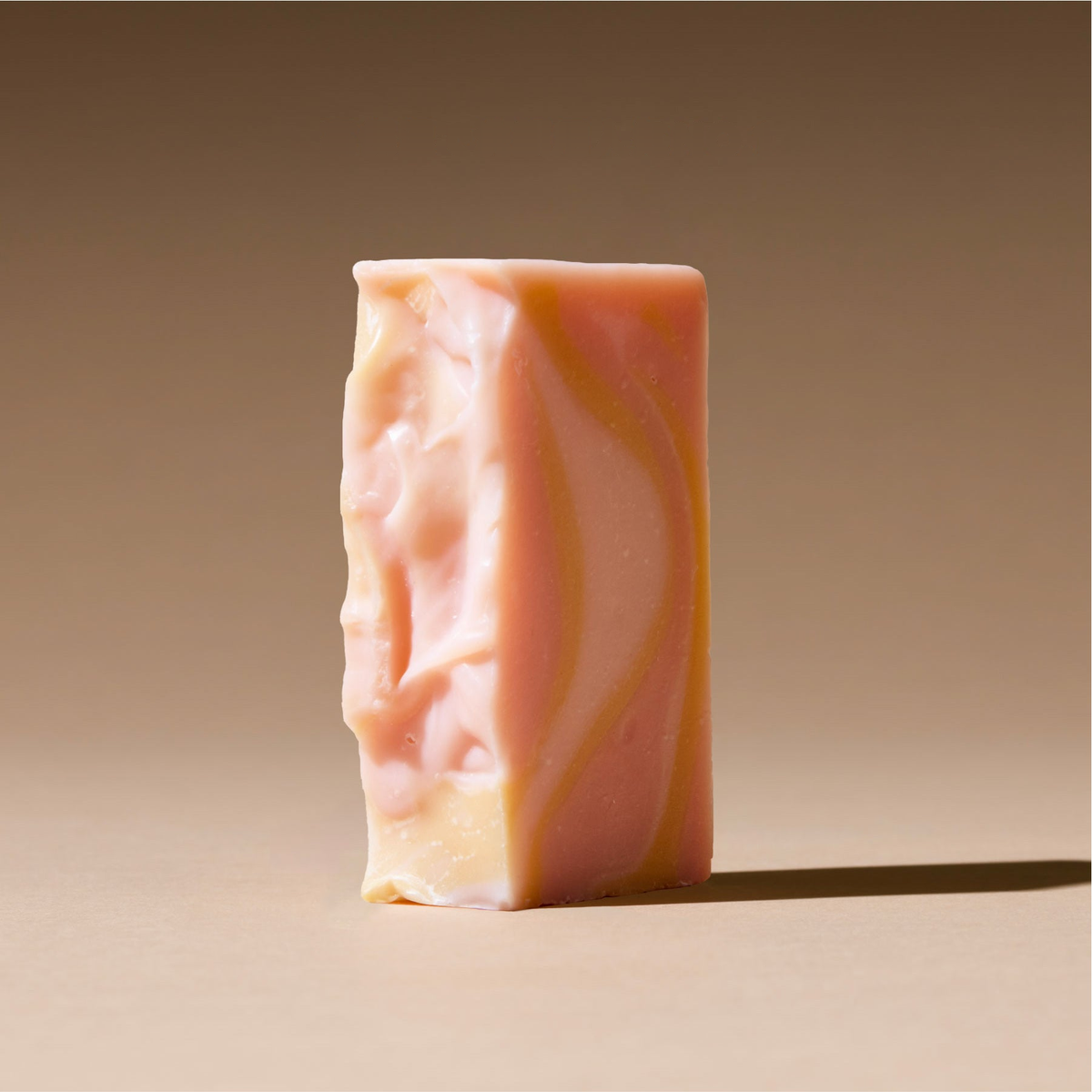 Camellia (Face)