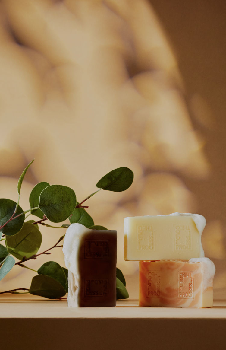 THE COLD PROCESSオフィシャルサイト 【ザ・コールドプロセス】