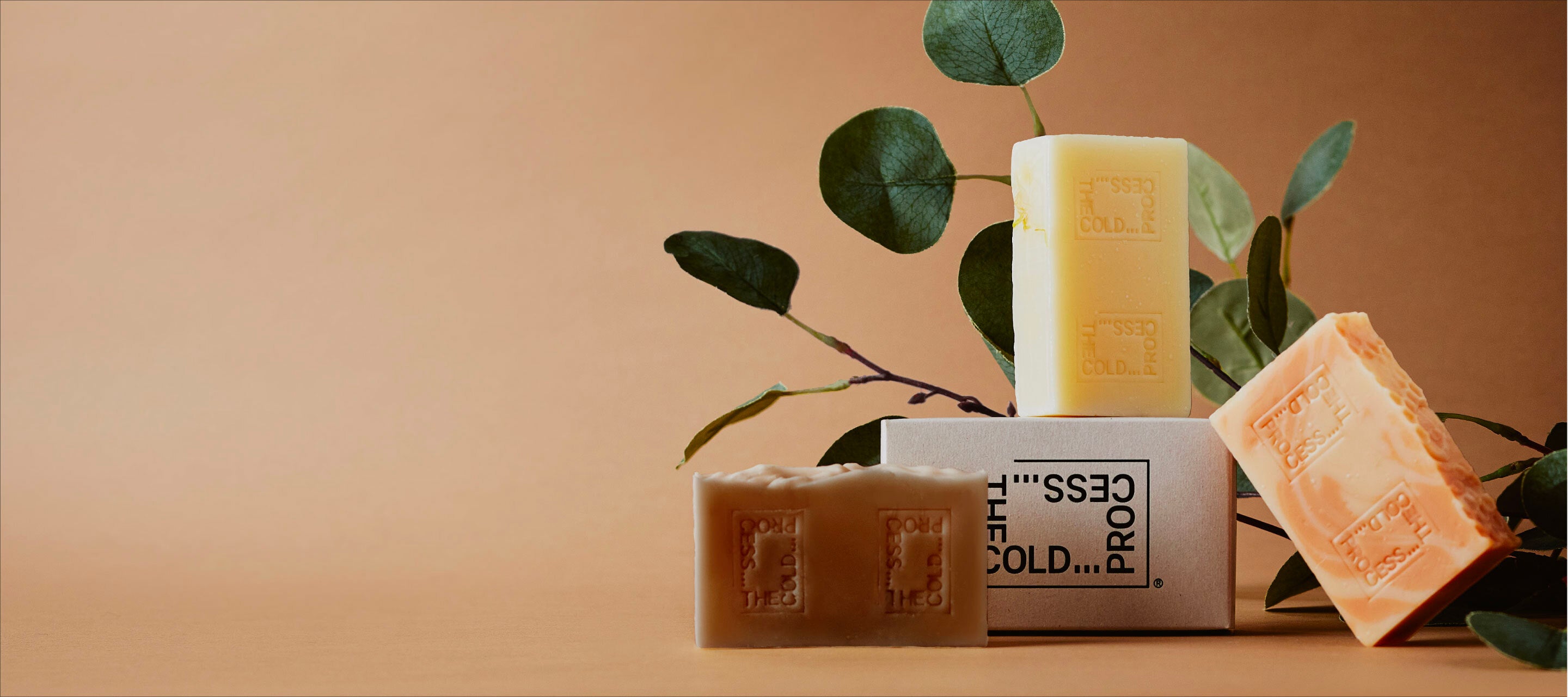 THE COLD PROCESSオフィシャルサイト 【ザ・コールドプロセス】