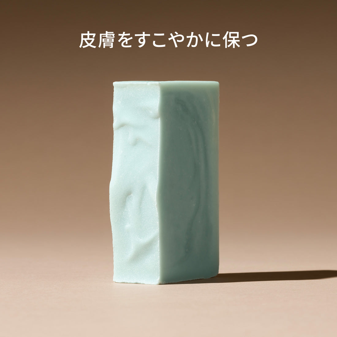 ドッグ（短毛）