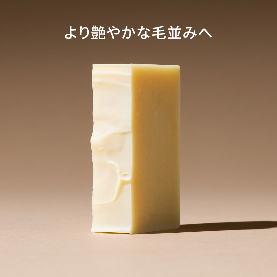 dog (conditioner bar)