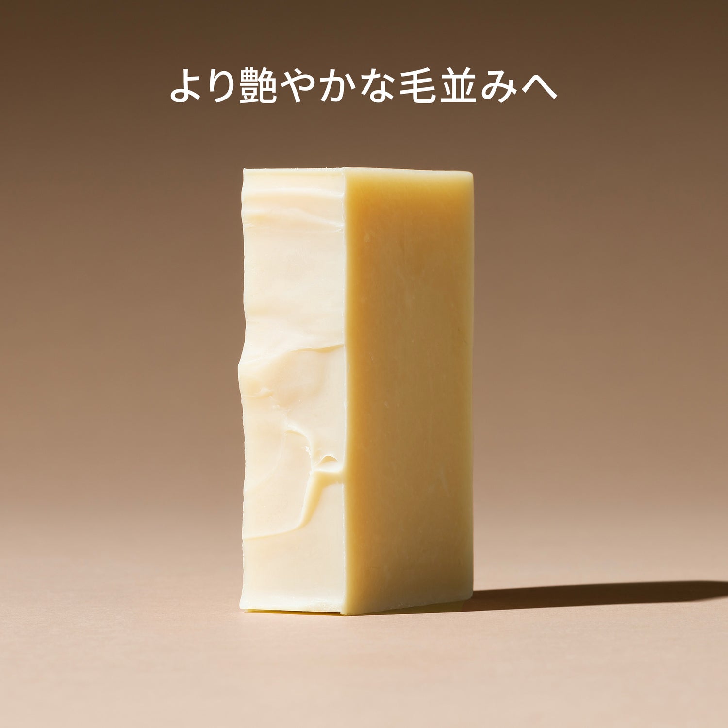 dog (conditioner bar)