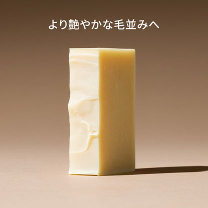 dog (conditioner bar)